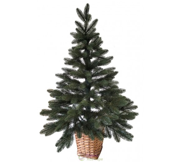 Ялина лита зелена 0,9 м у горщику з лози